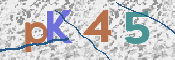 CAPTCHA (Şahıs Denetim Kodu) Resmi
