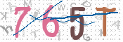 CAPTCHA (Şahıs Denetim Kodu) Resmi