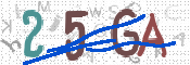 CAPTCHA (Şahıs Denetim Kodu) Resmi