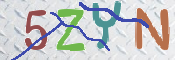 CAPTCHA (Şahıs Denetim Kodu) Resmi