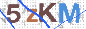 CAPTCHA (Şahıs Denetim Kodu) Resmi